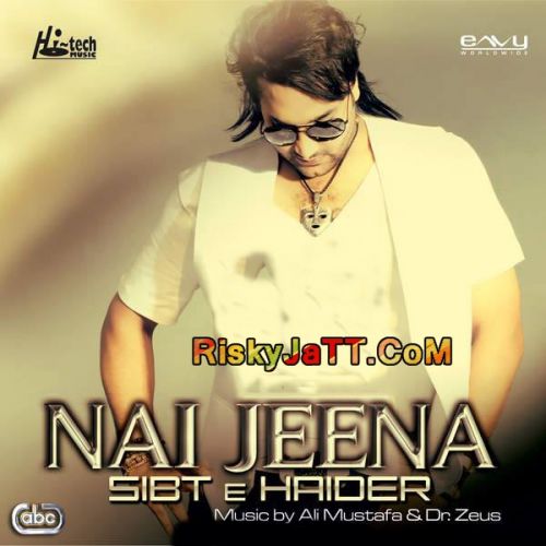 Download Raataan Sibt E Haider mp3 song, Nai Jeena Sibt E Haider full album download