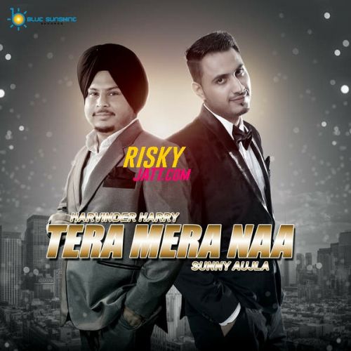 Download Tera Mera Naa Harvinder Harry mp3 song, Tera Mera Naa Harvinder Harry full album download