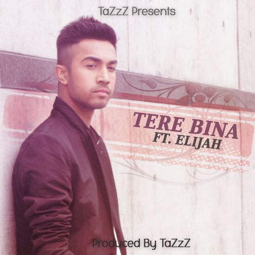 Download Tere Bina Ft Elijah Tazzz mp3 song, Tere Bina Tazzz full album download