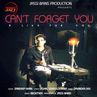 Download Cant Forget You Sandeep Khan mp3 song, Cant Forget You Sandeep Khan full album download