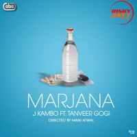 Download Marjana Tanveer Gogi, J Kambo mp3 song, Marjana Tanveer Gogi, J Kambo full album download