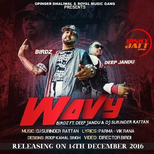 Download Wavy Birdz, Deep Jandu mp3 song, Wavy Birdz, Deep Jandu full album download