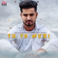 Download Tu Ta Meri Sunda E Na Guru Gill mp3 song, Tu Ta Meri Sunda E Na Guru Gill full album download