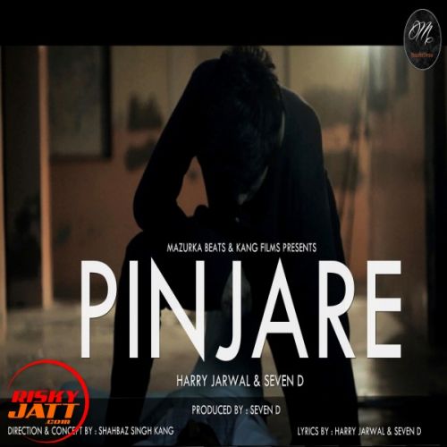 Download Pinjare Narci, Harry Jarwal, Seven D mp3 song, Pinjare Narci, Harry Jarwal, Seven D full album download