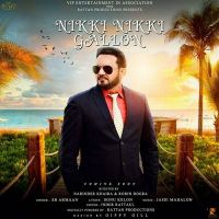 Download Nikki Nikki Gallon SB Armaan mp3 song, Nikki Nikki Gallon SB Armaan full album download