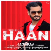 Download Teri Ik Haan Zaffar Ali mp3 song, Teri Ik Haan Zaffar Ali full album download