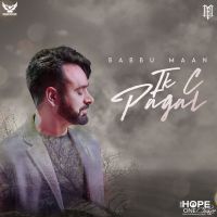 Download Mehndi Babbu Maan mp3 song, Ik C Pagal Babbu Maan full album download