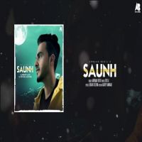 Download Saunh Armaan Bedil mp3 song, Saunh Armaan Bedil full album download