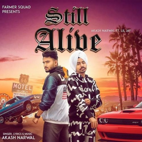 Download Still Alive Akash Narwal, Lil Jay mp3 song, Still Alive Akash Narwal, Lil Jay full album download