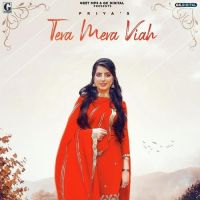 Download Tera Mera Viah Priya mp3 song, Tera Mera Viah Priya full album download