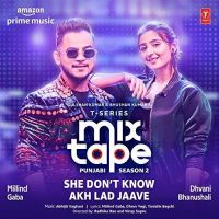 Download She Dont Know-Akh Lad Jaave (T-Series Mixtape Punjabi Season 2) Millind Gaba, Dhvani Bhanushali mp3 song, She Dont Know-Akh Lad Jaave (T-Series Mixtape Punjabi Season 2) Millind Gaba, Dhvani Bhanushali full album download