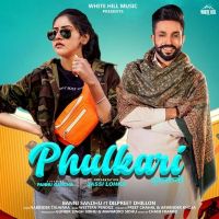 Download Phulkari Baani Sandhu, Dilpreet Dhillon mp3 song, Phulkari Baani Sandhu, Dilpreet Dhillon full album download