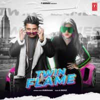 Download Twin Flame Pardhaan mp3 song, Twin Flame Pardhaan full album download