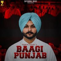 Download Baagi Punjab Harman Chahal mp3 song, Baagi Punjab Harman Chahal full album download