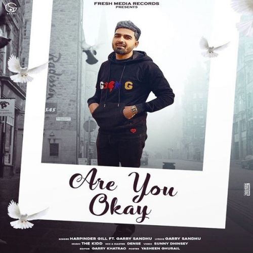 Download Are You Ok Garry Sandhu, Harpinder Gill mp3 song, Are You Ok Garry Sandhu, Harpinder Gill full album download