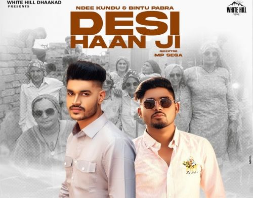 Download Desi Haan Ji Ndee Kundu mp3 song, Desi Haan Ji Ndee Kundu full album download