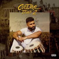 Download Intro AK mp3 song, Cultural Tings 2 AK full album download