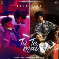 Download Tu Te Mai Zehr Vibe mp3 song, Tu Te Mai Zehr Vibe full album download