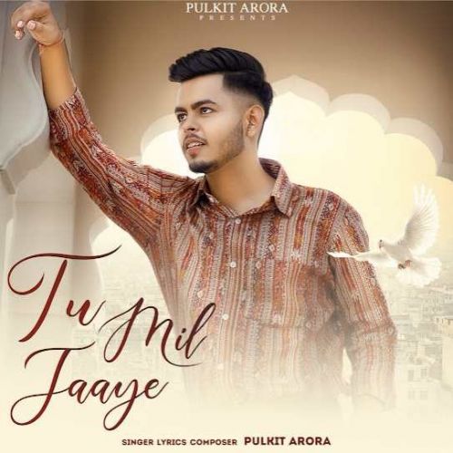 Download Tu Mil Jaaye Pulkit Arora mp3 song, Tu Mil Jaaye Pulkit Arora full album download