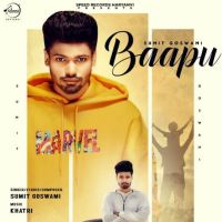 Download Baapu Sumit Goswami mp3 song, Baapu Sumit Goswami full album download