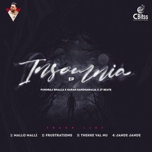 Insomnia - EP By Pukhraj Bhalla and Karan Sandhawalia full mp3 album