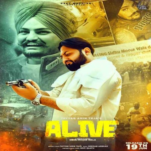 Download ALive Tayyab Amin Teja mp3 song, ALive Tayyab Amin Teja full album download