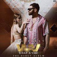 Download Yaariyan King Sunny mp3 song, WAV (What A Vibe) King Sunny full album download