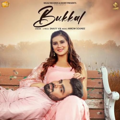 Download Bukkal Shavy Vik mp3 song, Bukkal Shavy Vik full album download