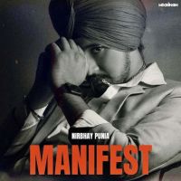 Download Flex Nirbhay Punia mp3 song, Manifest Nirbhay Punia full album download