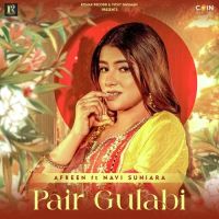 Download Pair Gulabi Afreen mp3 song, Pair Gulabi Afreen full album download