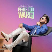 Download Little Little Sukhman Heer mp3 song, Pehle Tod Wargi Sukhman Heer full album download