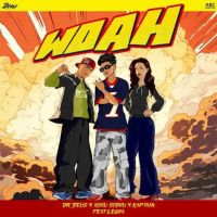 Download Woah Ashu Sidhu mp3 song, Woah Ashu Sidhu full album download