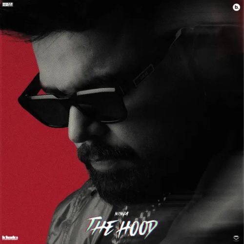 Download Dil Ninja mp3 song, The Hood Ninja full album download