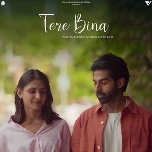 Download Tere Bina Sukhan Verma mp3 song, Tere Bina Sukhan Verma full album download