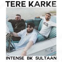 Download Tere Karke BK, Sultaan mp3 song, Tere Karke BK, Sultaan full album download