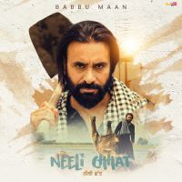 Download Neeli Chhat Babbu Maan mp3 song, Neeli Chhat Babbu Maan full album download