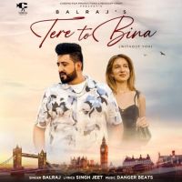 Download Tere To Bina Balraj mp3 song, Tere To Bina Balraj full album download