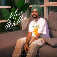 Download Mere Wallon Romey Maan mp3 song, Mere Wallon Romey Maan full album download