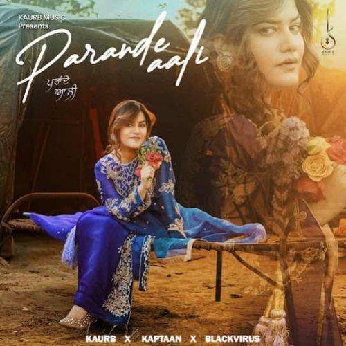 Download Parande Aali Kaur B mp3 song, Parande Aali Kaur B full album download