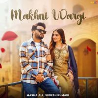 Download Makhni Wargi Masha Ali mp3 song, Makhni Wargi Masha Ali full album download