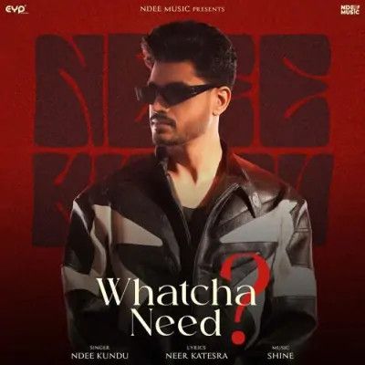 Download Whatcha Need Ndee Kundu mp3 song, Whatcha Need Ndee Kundu full album download