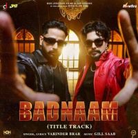 Download Badnaam Varinder Brar mp3 song, Badnaam Varinder Brar full album download