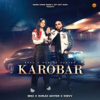 Download Karobar Bee2 mp3 song, Karobar Bee2 full album download