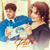 Download Pari Diler Kharkiya, Shiva Choudhary mp3 song, Pari Diler Kharkiya, Shiva Choudhary full album download