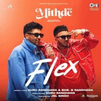 Download Flex Guru Randhawa mp3 song, Flex Guru Randhawa full album download