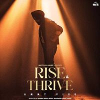 Download 6 Shades Ammy Virk mp3 song, Rise & Thrive Ammy Virk full album download