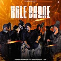 Download Kale Baane Karry Brar mp3 song, Kale Baane Karry Brar full album download