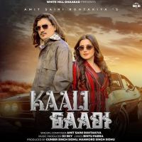 Download Kaali Gaadi Amit Saini Rohtakiya mp3 song, Kaali Gaadi Amit Saini Rohtakiya full album download