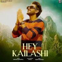 Download Hey Kailashi Somvir Kathurwal mp3 song, Hey Kailashi Somvir Kathurwal full album download
