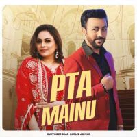 Download Pta Mainu Gurvinder Brar mp3 song, Pta Mainu Gurvinder Brar full album download